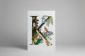 Decorative paper cutout with Australian animals and nature elements on a white background